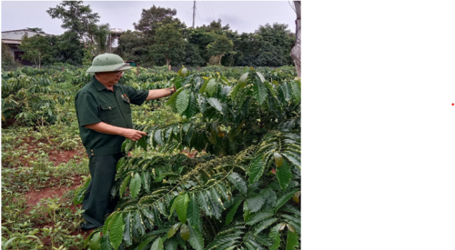Gương điển hình trong phong trào thi đua “Cựu chiến binh gương mẫu”