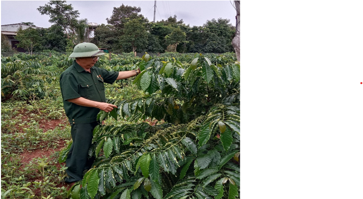 Đồng chí  Nguyễn Viết Xô, chia sẻ kinh nghiệm trồng cây cà phê.

