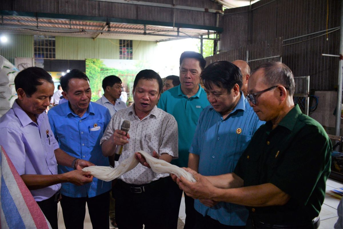 Các đại biểu đi thăm hợp tác xã Mì gạo Hùng Lô