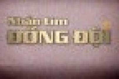 Nhắn tìm đồng đội (số 382)