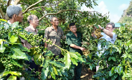 Cựu chiến binh Sơn La đoàn kết, giúp nhau giảm nghèo, làm giàu chính đáng
